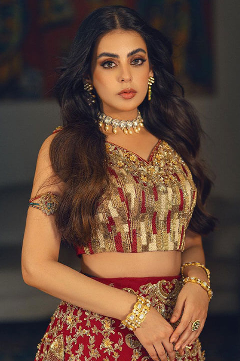 Yashma gill is wearing a beautiful red dress.
